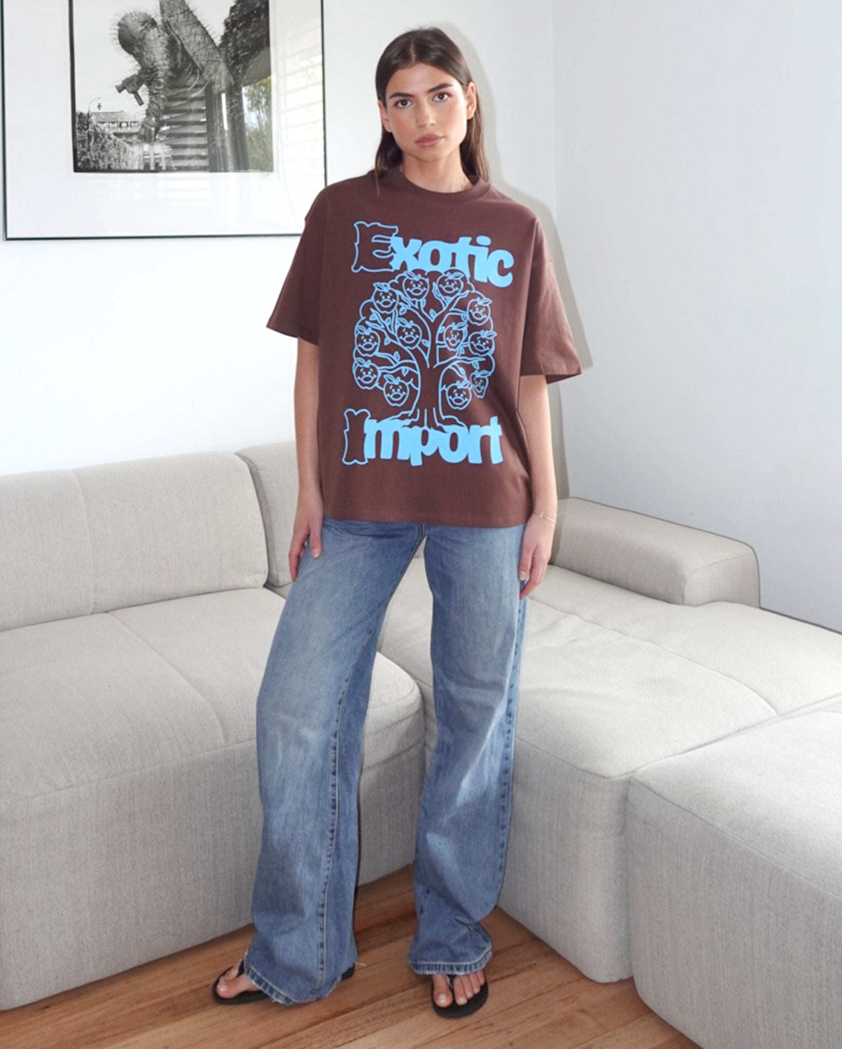 Smiley Apples T-Shirt (Brown)